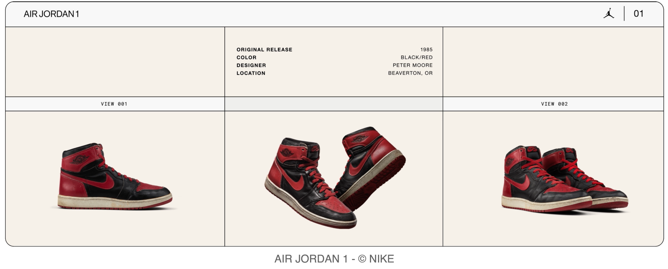 Air Jordan first model shoes